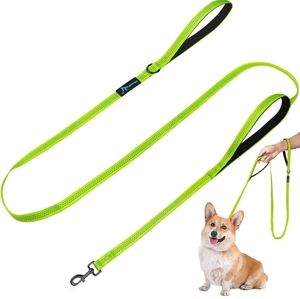 Reflective Dog Leash NWOT